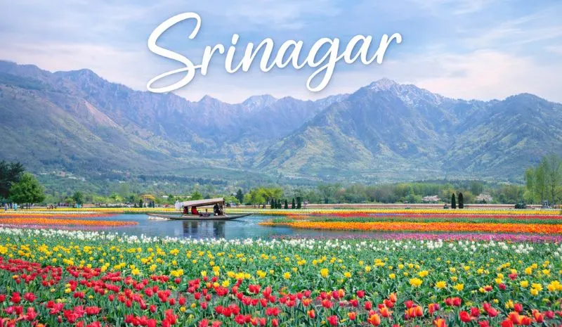 srinagar